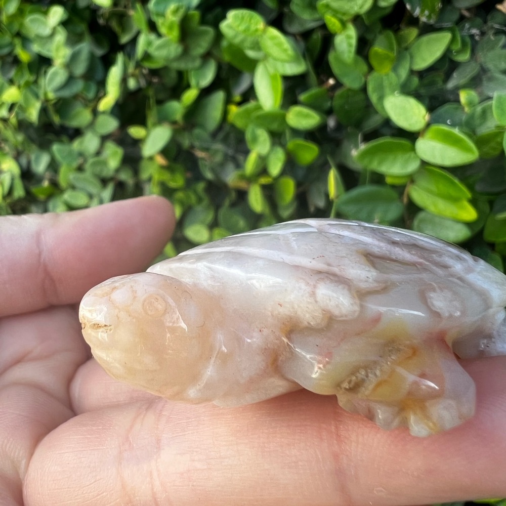 Creamy Orange Pink Flower Agate Turtle Carving - Picture 4 of 6